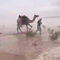 لوحة رائعة من صحراء شبه الجزيرة العربية اثناء سقوط الامطار 2018